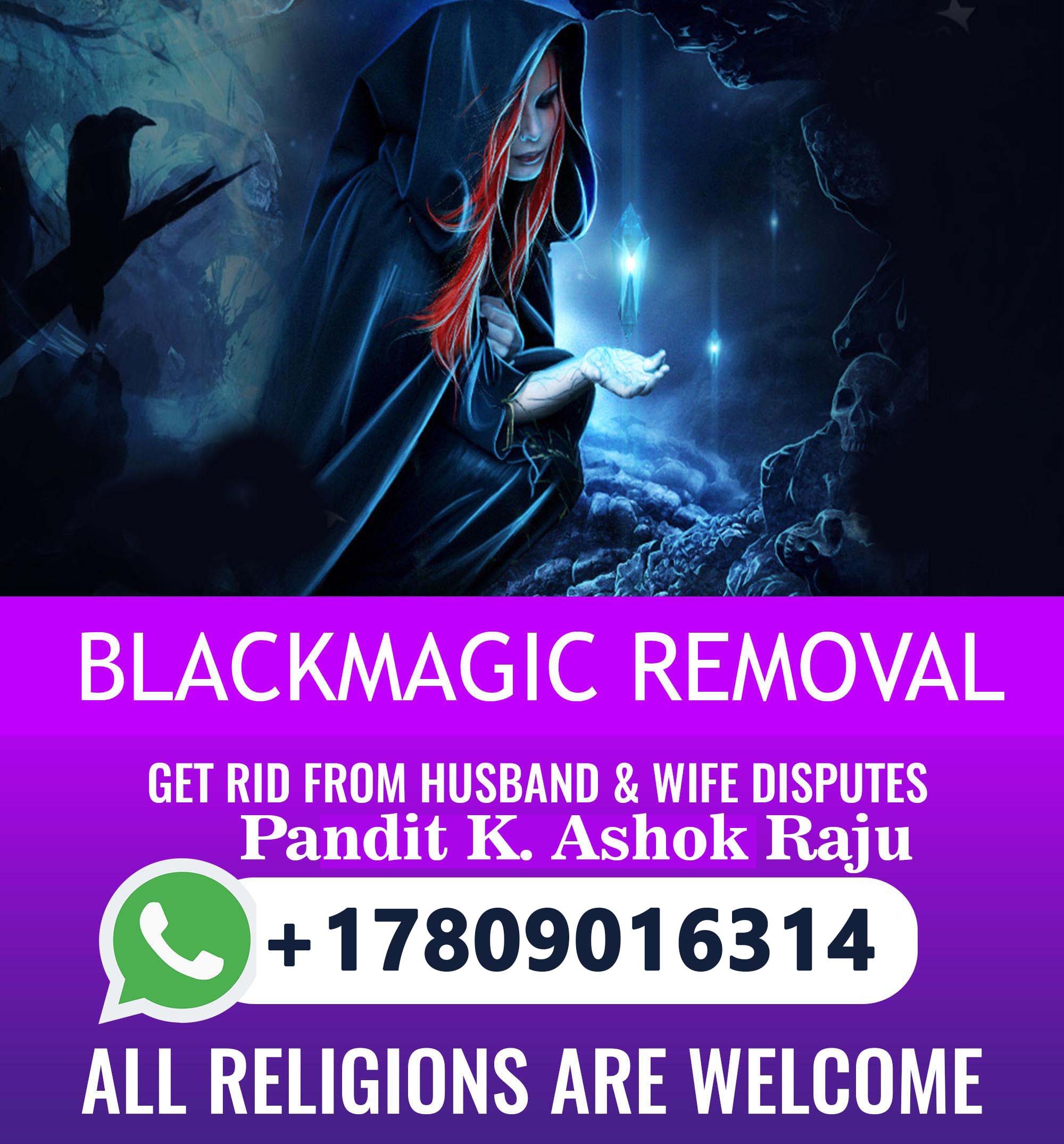 Pandit K. Ashok Raju Astrology Services Banner